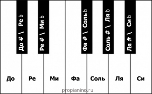 Расположение полутонов на клавишах пианино