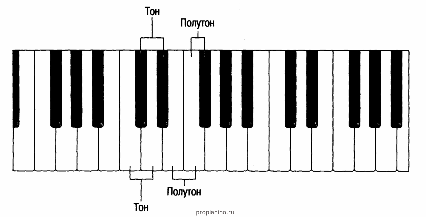 Программа для изучения нот на пианино скачать