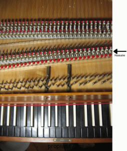 Клавесин изнутри